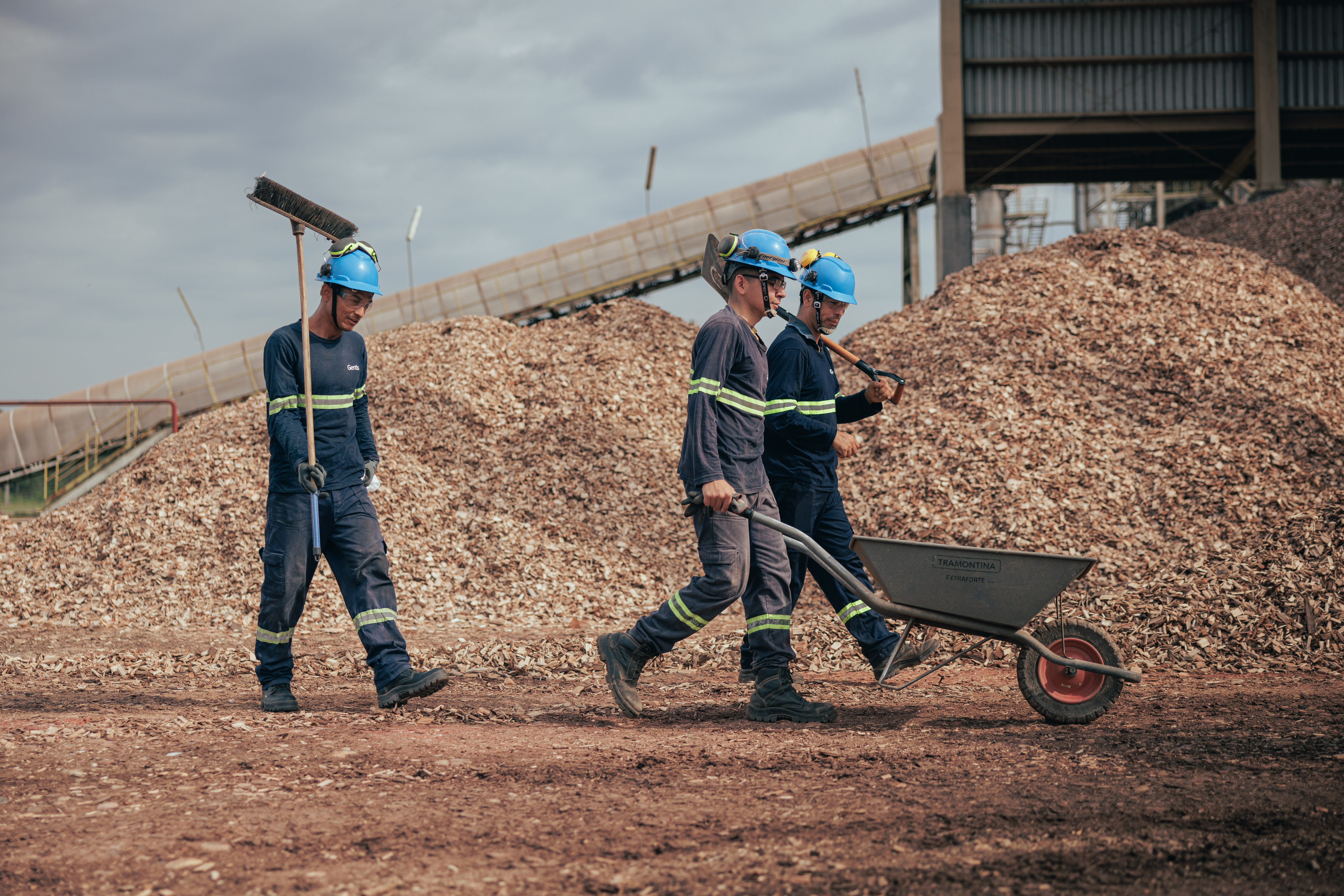 Trabajo en campo 1